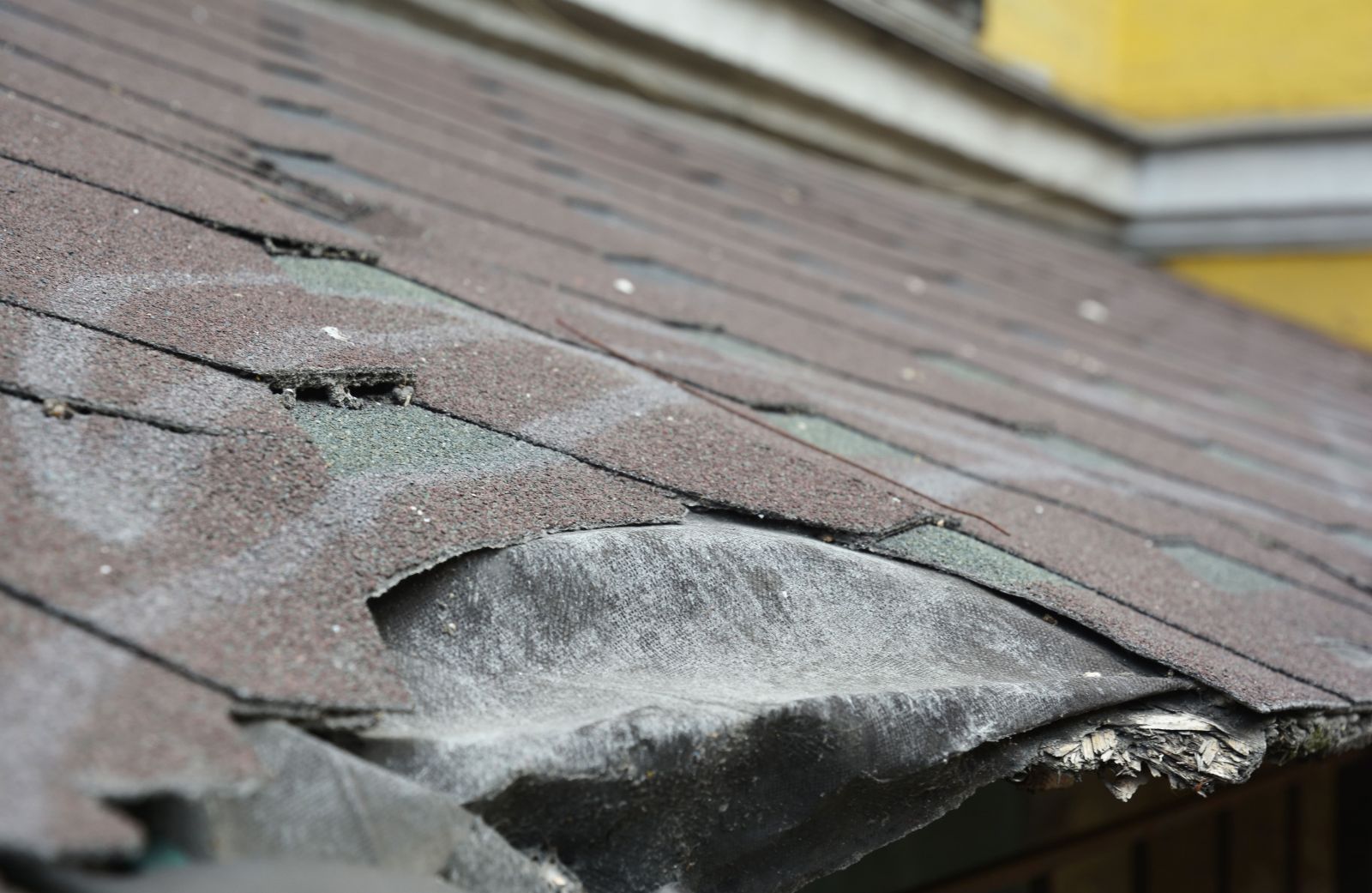 Defender Roofing Images