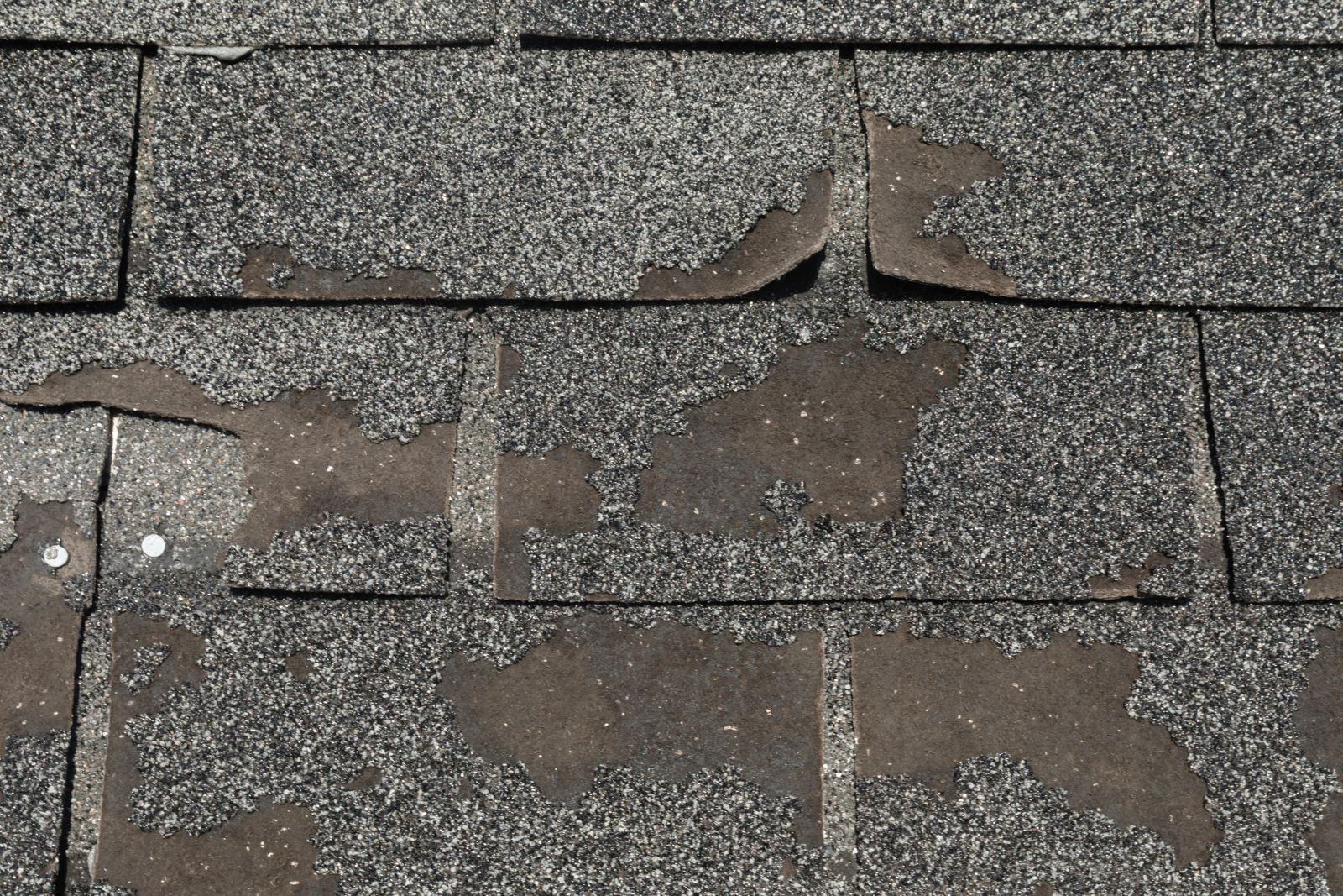 Defender Roofing Images